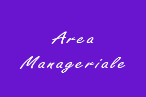 6-manageriale